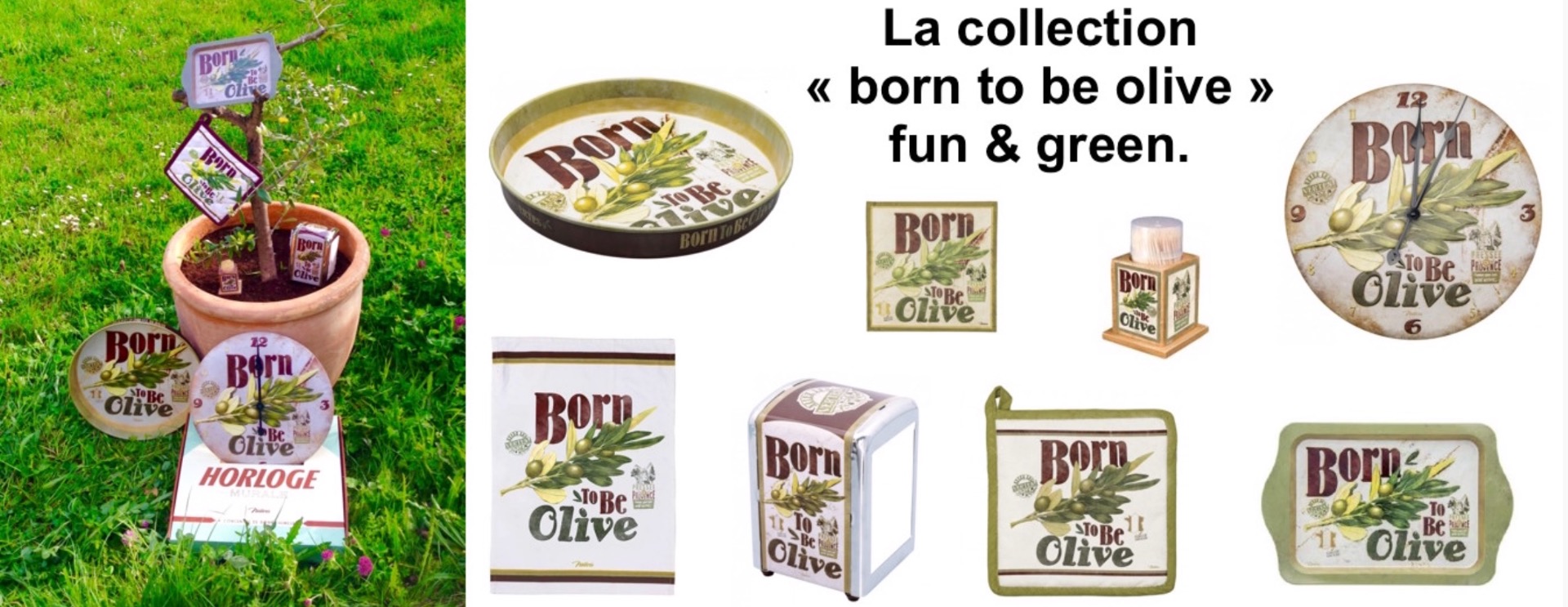 olive_-_copie.jpg